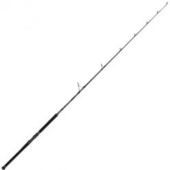 Canne Spinning Penn Marine Brigade Offshore Casting