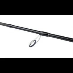 Canne Spinning Shimano Basstera XT Sea Bass