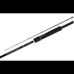 Canne Spinning Shimano Bassterra Sea Bass