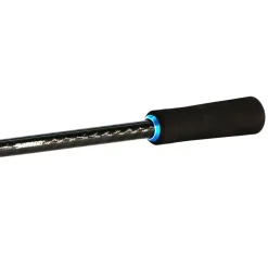 Canne Spinning Shimano Bassterra Sea Bass