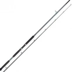 Canne Spinning Shimano Forcemaster AX Catfish Lure