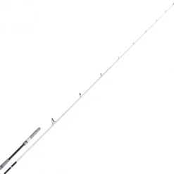 Canne Spinning Shimano Stradic Seabass