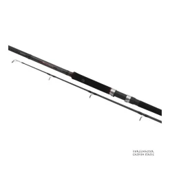 Canne Spinning Silure Shimano Forcemaster Catfish Static