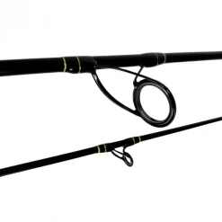 Canne Spinning Spro Big Lure