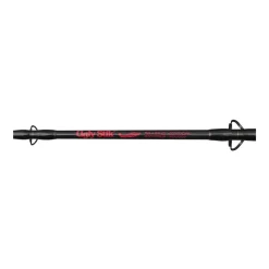 Canne Spinning Ugly Stick Silurus Vertical