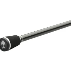 Canne Spinning Westin W2 Streetstick