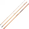 Canne Surfcasting Daiwa Cast'IZM 24