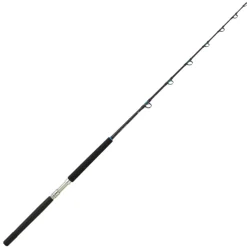 Canne Traine Daiwa Sealine X Trolling