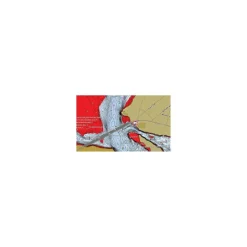 Carte detaillee des principaux lacs francais Humminbird LakeMaster