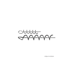 Fixation Daiwa Prorex Screw in System Screw
