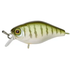 Leurre Illex Chubby 38 F