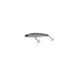 Leurre Illex Water Monitor 95