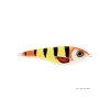 Leurre Jerkbait CWC Buster Shallow 15cm