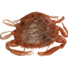 Leurre Souple Berkley Gulp Saltwater Peeler Crab 5cm