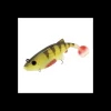 Leurre Souple Biwaa Kapsiz Kast HD 23cm