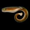 Leurre Souple Black Cat Mega Curl Tail 22cm