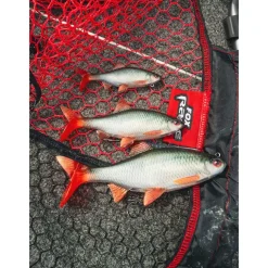 Leurre Souple Fox Rage Replicant Ultra-Realistic Roach