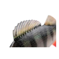 Leurre Souple Fox Rage Replicant Ultra-Realistic Perch
