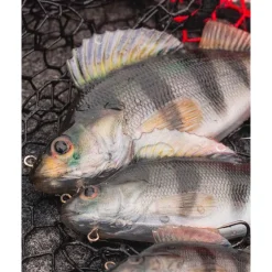 Leurre Souple Fox Rage Replicant Ultra-Realistic Perch