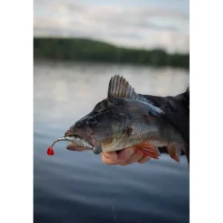 Leurre Souple Fox Rage Scent Shads 13cm