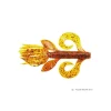 Leurre Souple Gary Yamamoto Kreature 10cm