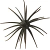 Leurre Souple HideUp Coike 1,7cm