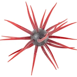Leurre Souple HideUp Coike Fullcast 2,3cm