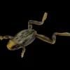 Leurre Souple Imakatsu Finesse Frog 8,9cm