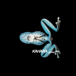 Leurre Souple Kahara Diving Frog 6cm