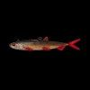 Leurre Souple Madcat Pelagic Cat Lure 21cm