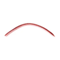 Leurre Souple Reins Swamp Junior 12,5cm