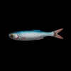 Leurre Souple Savage Gear Craft Dying Minnow 5,5cm