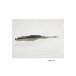 Leurre Souple Zoom Magnum Super Fluke 17,8cm