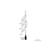 Montage Daiwa D'Rig Surfcasting Pro