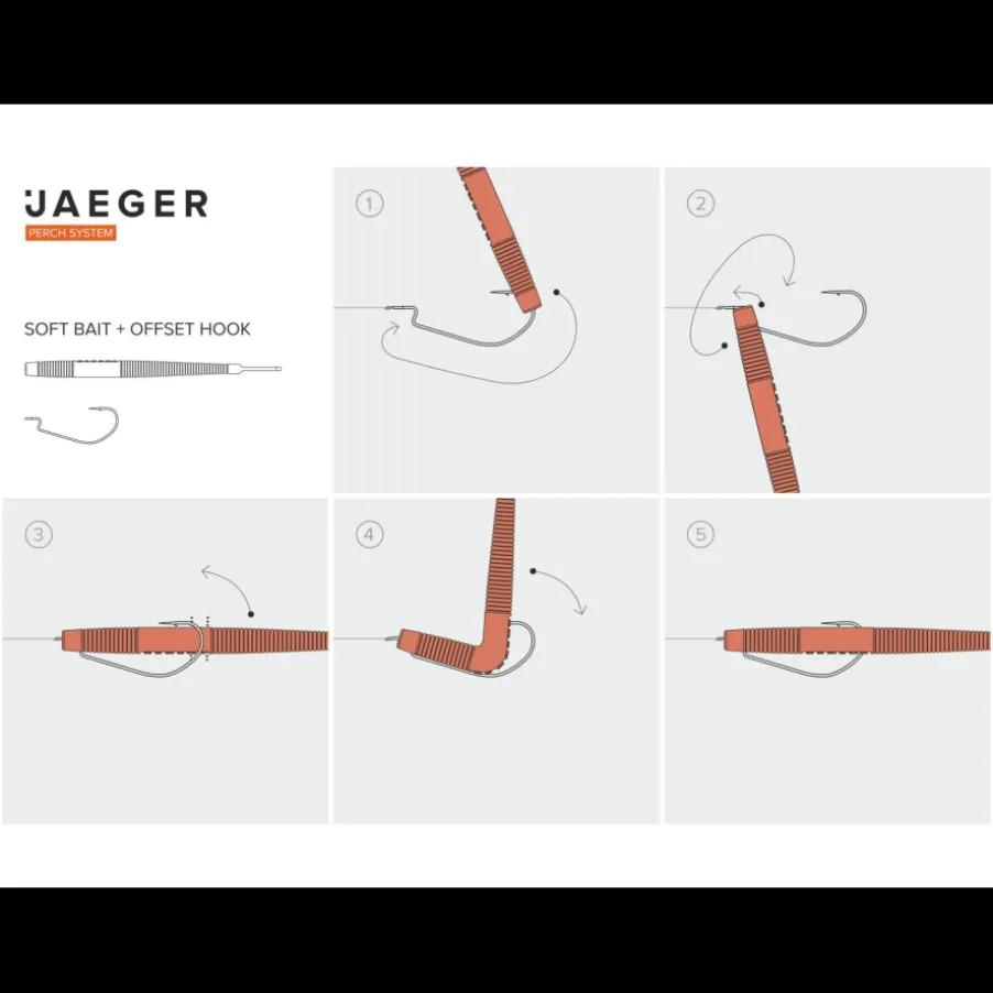 Montage Jaeger Carolina Rig