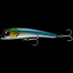 Poisson Nageur Amegari Urpekari 160 F