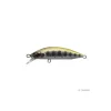 Poisson Nageur Babyface M50SR S