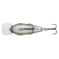 Poisson Nageur Berkley DEX Thumper Floating 5,5cm