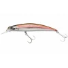 Poisson Nageur Berkley Dex Bullet Jerk 11cm