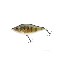 Poisson Nageur Biwaa Raffal