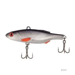 Poisson Nageur Black Cat BC Vibe