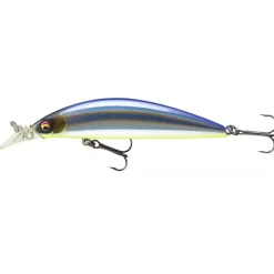 Poisson Nageur Daiwa Tournament Current Master DR Floating 9,3cm