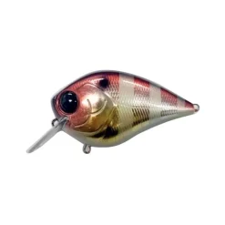 Poisson Nageur Damiki BTC 60