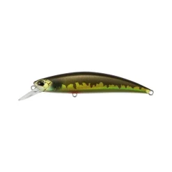 Poisson Nageur Duo international Spearhead Ryuki 70 S