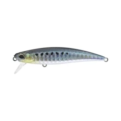 Poisson Nageur Duo Ryuki 71 S SW
