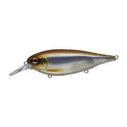 Poisson Nageur Evergreen X Over 9cm