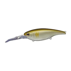 Poisson Nageur Evergreen DD X Over 10cm
