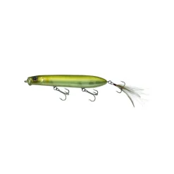 Poisson Nageur Evergreen Showerblows Shorty
