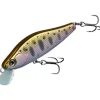Poisson Nageur Evergreen Nelmezzo 50 FS