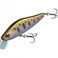 Poisson Nageur Evergreen Nelmezzo 50 FS